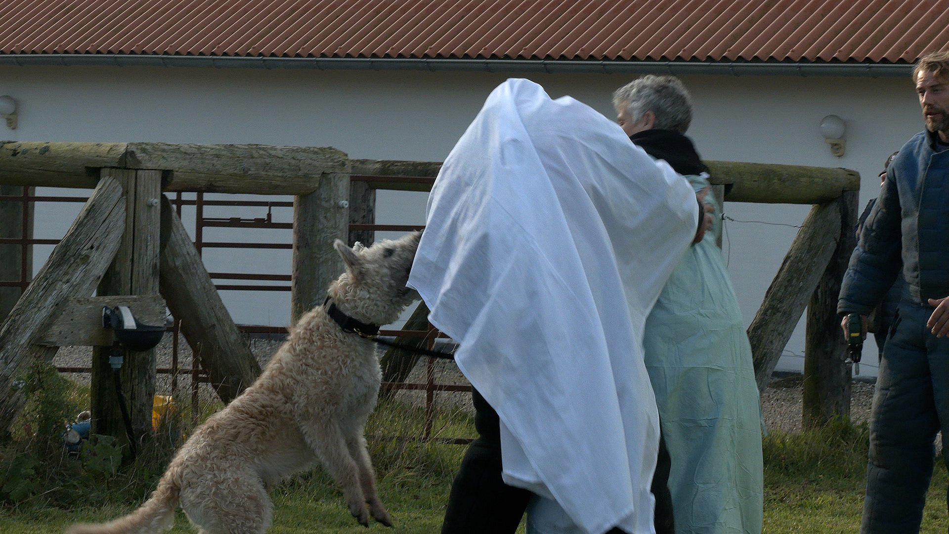 skandaløse botanist vil beslutte Uhyggeligt tvist til DM i hundetræning: Hunde blev skræmt af spøgelser og  monstre | TV2 Fyn