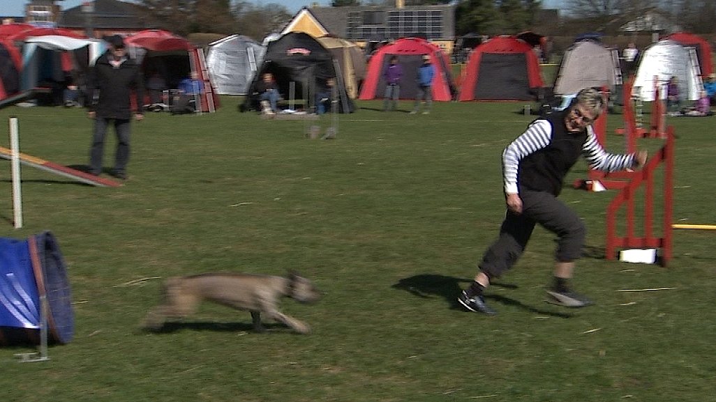 Løbetid For Hund Og Ejer | TV 2 Fyn