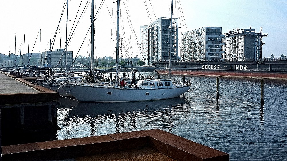 Odense Havn Brugte DSB's Lobbyfinte | TV 2 Fyn