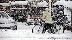 Sne og frost betyder flere uheld: Sådan sikrer du dig bedst muligt