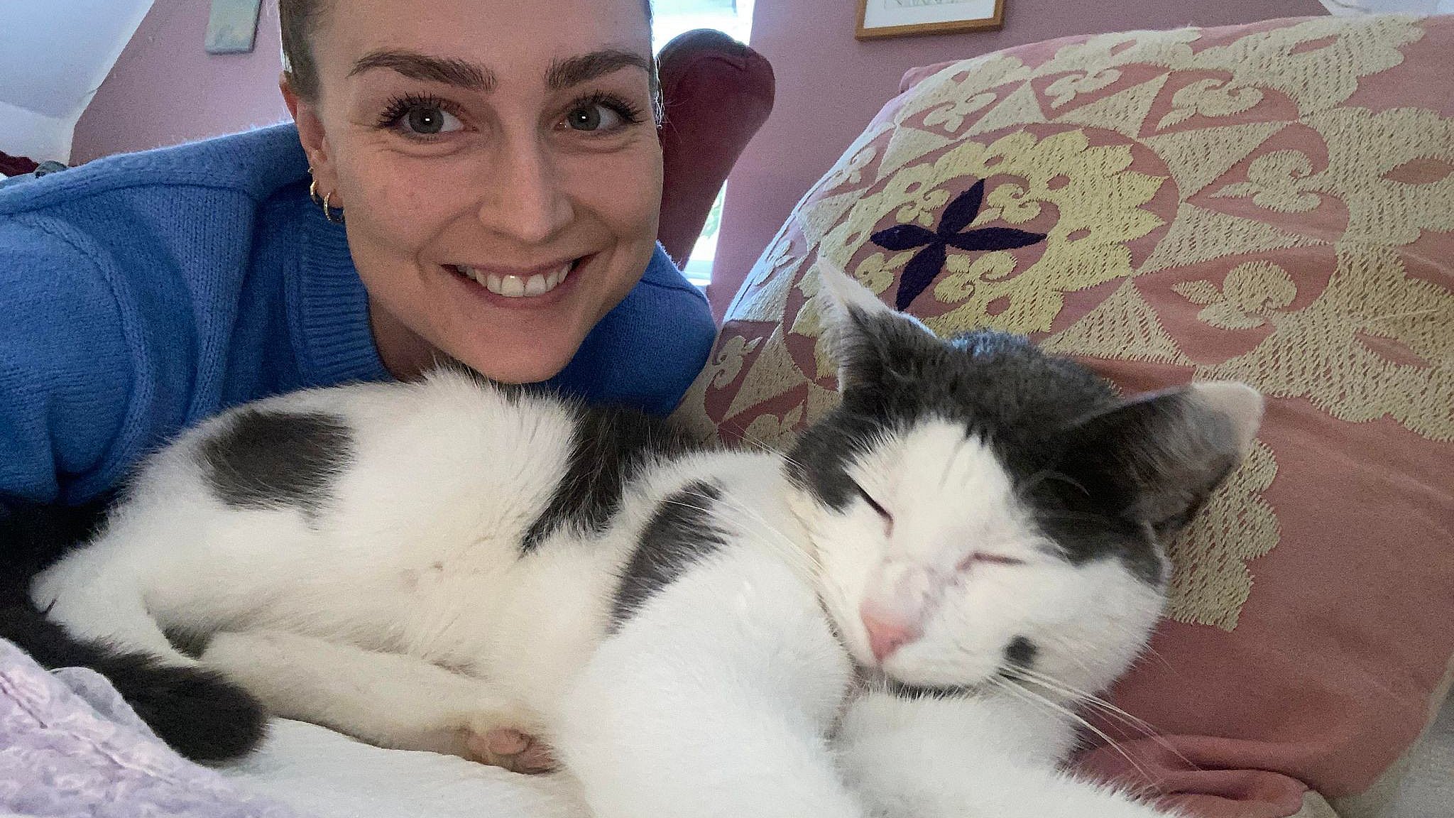 Katten Mister forsvandt under voldsom brand nu er der nyt TV 2 Fyn