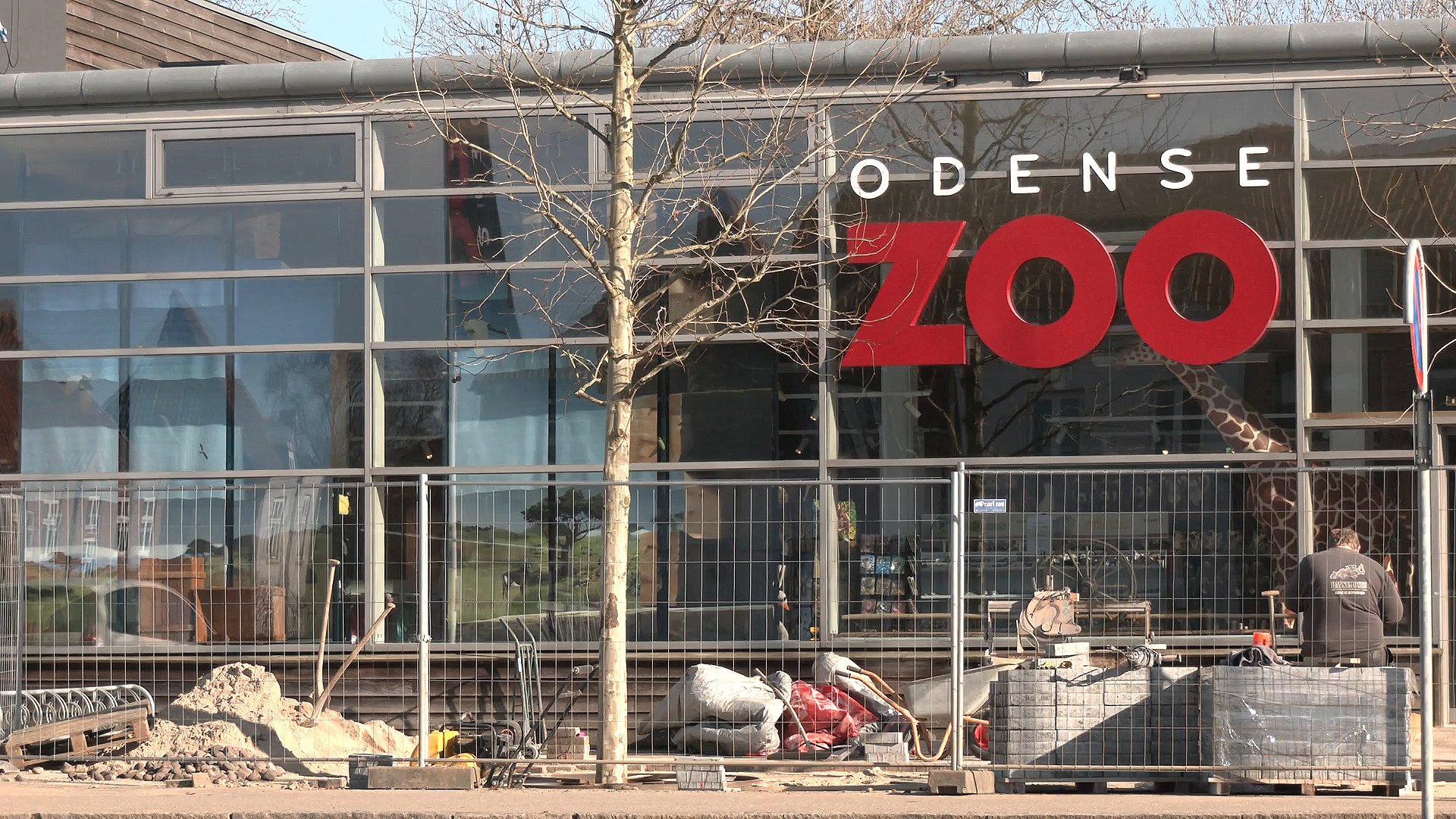 Se Videoen Odense Zoo Laver Saerligt Jobopslag Tv2 Fyn