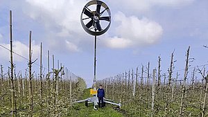 Frugtavleren Henning bruger vindmaskine i kamp mod nattefrost