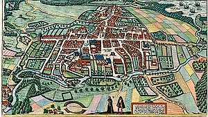 Usynlig verdensarv: Her er den utrolige historie om Odenses vikingeborg