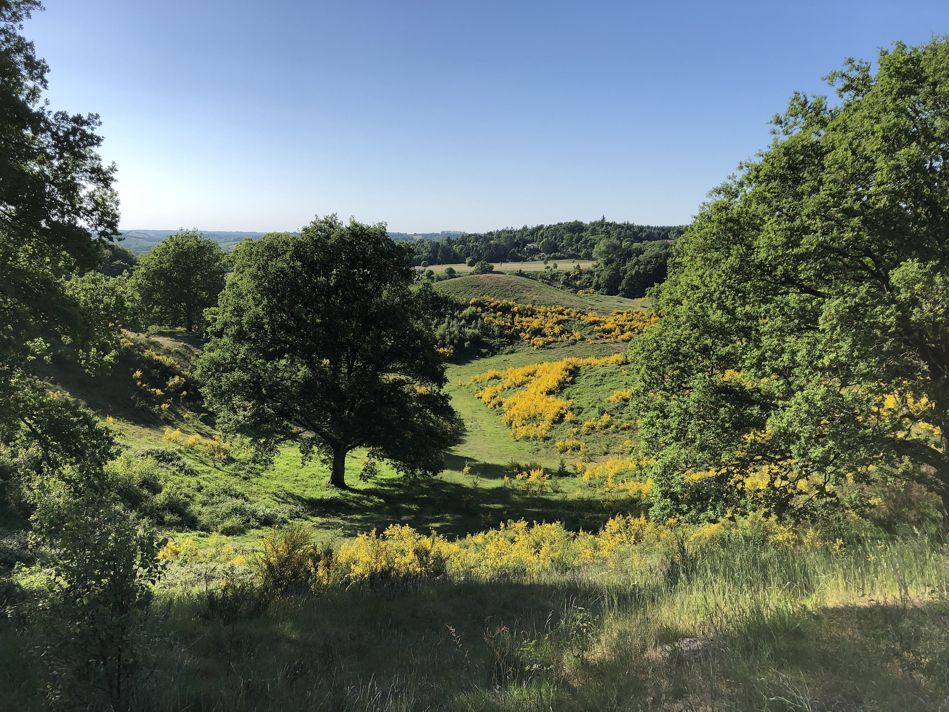 Planer Om At Gore Svanninge Bakker Til Naturnationalpark Tv2 Fyn