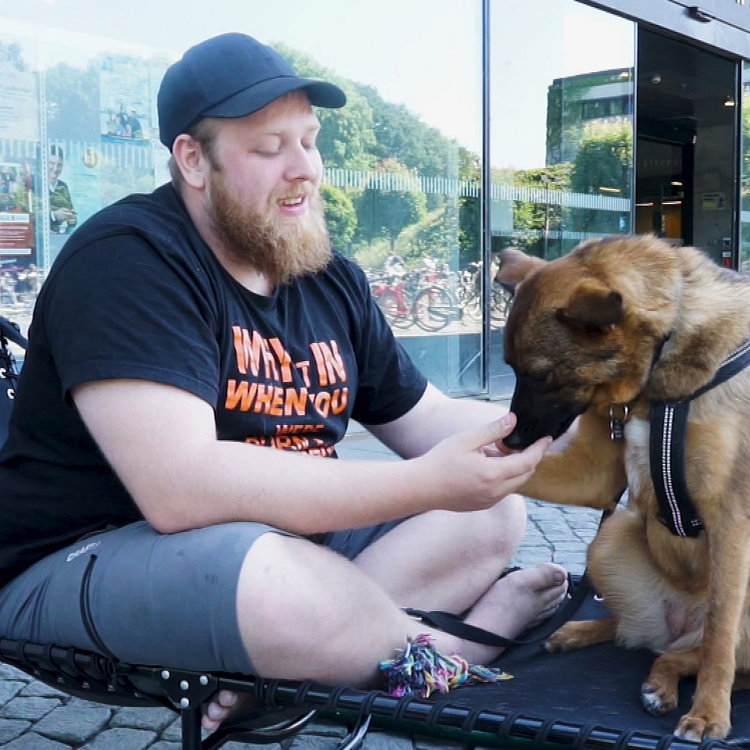 lunken projektor Fatal Hunde-smiley til fynsk hundepension | TV2 Fyn