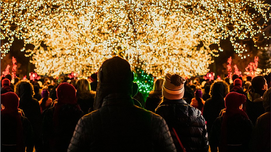 Odense Zoo overvejer droppe populært julelysshow | Fyn